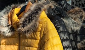 Fur Winter Garment Down Jacket  - jackmac34 / Pixabay